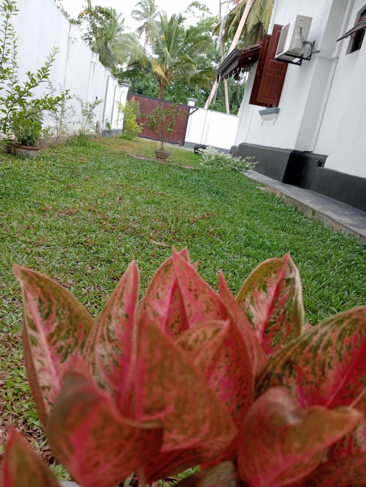 Ranagiri Relaxing Bungalow Bentota Eksteriør billede